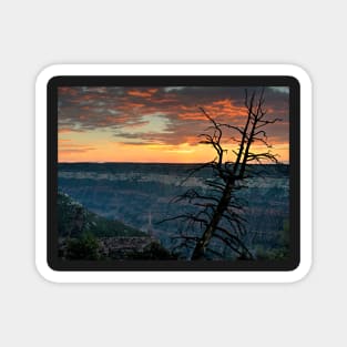 North Rim Dawn Magnet