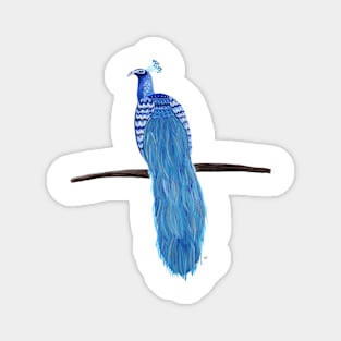 Peacock Pattern - Blue & Metallic Magnet