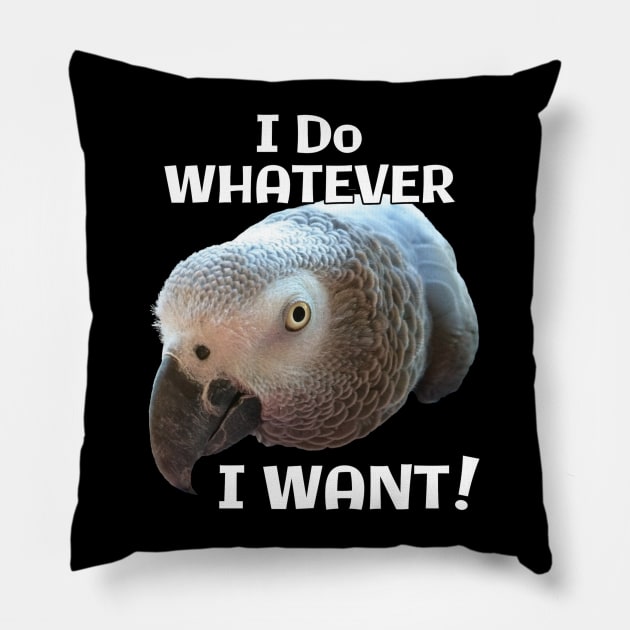 African Grey Parrot - Do Whatever I Want! Pillow by Einstein Parrot