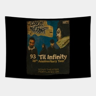 93 Til Infinity // 30th Anniversary Tour 2023 Tapestry