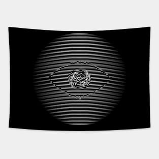 Eye Tapestry