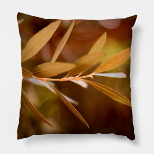 Visible Peace - an Olive Branch Pillow