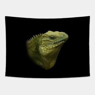 Iguana Tapestry