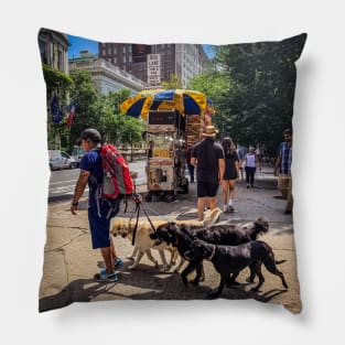 Dog Sitter, Central Park, Manhattan, New York City Pillow