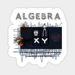 Algebra Magnet