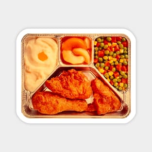 Retro TV Dinner Magnet