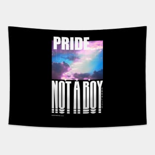 Not a Boy | Genderqueer Pride Tapestry