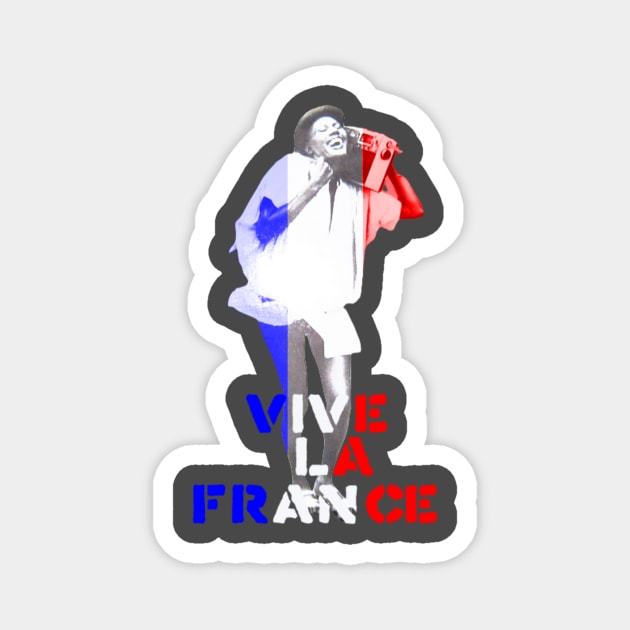 vive la france Magnet by Djourob