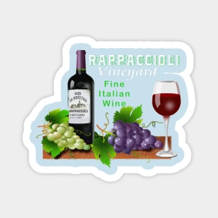 Nicaragua Rappaccioli Vineyard Italian Wine Magnet