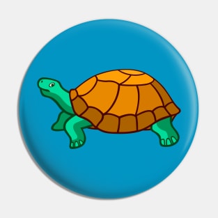 Cartoon turtle illustration Pin