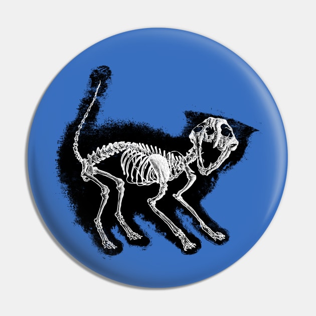 the purrfect scare Pin by TenTimeskarma