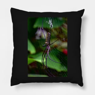 spider Pillow