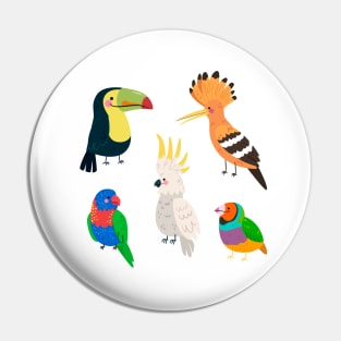 Parrots Collection Pin