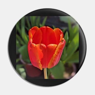 Red Tulip 1 Pin