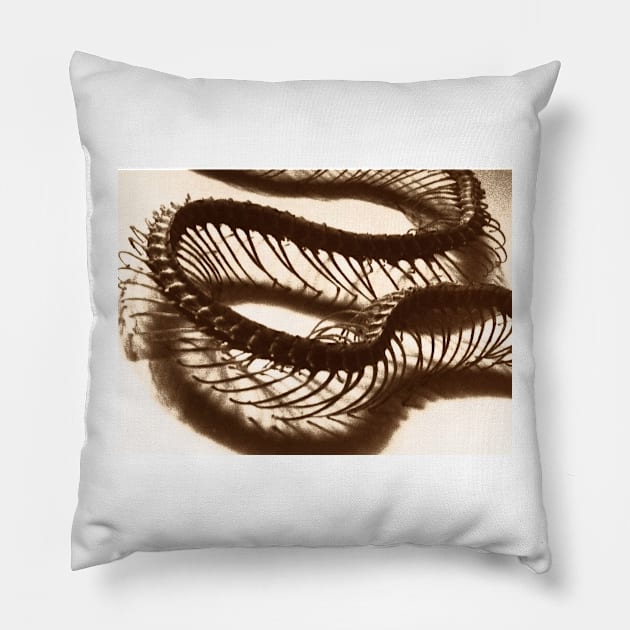 sine wave Pillow by lastgasp