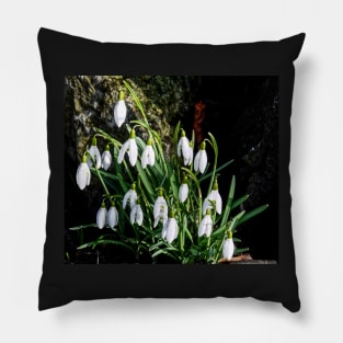 Snowdrop display Pillow