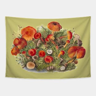 Study of Mushrooms Tapestry