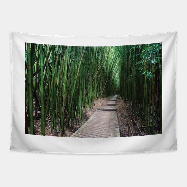 Boardwalk Through Bamboo Pipiwai Trail Hakeakala National Park Kipahulu Tapestry by HammiltenJohn