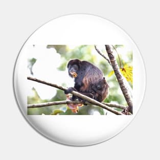 Howler monkeys - Costa Rica Pin