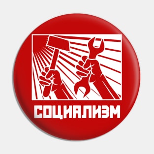 Socialism Pin