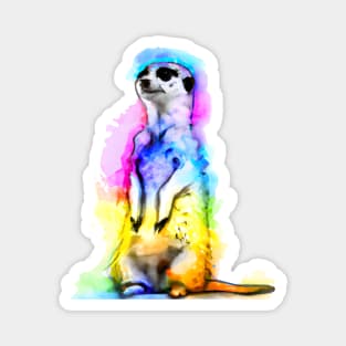 Meerkat Watercolor Painting Magnet