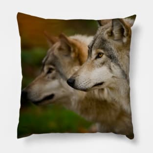 Timber Wolves Pillow