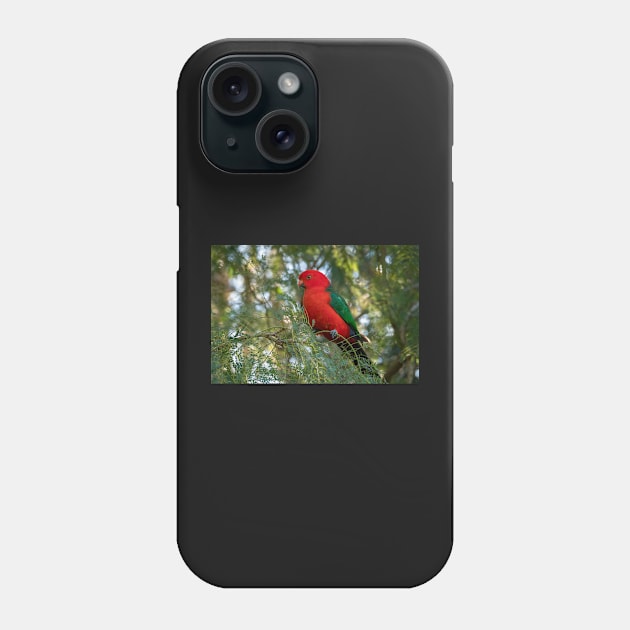 Male King Parrot, Queensland Australia Phone Case by AndrewGoodall