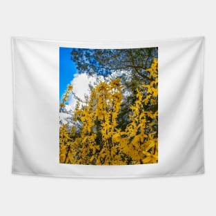 golden flowers in spring nature with blue sky and white clouds Tapestry