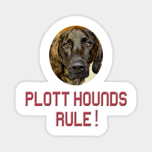 Plott Hounds Rule! Magnet