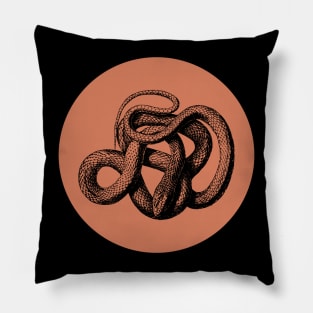 Halloween Snake, Portents, Omens, Signs, and Fortunes - Rust Orange and Black Style Pillow