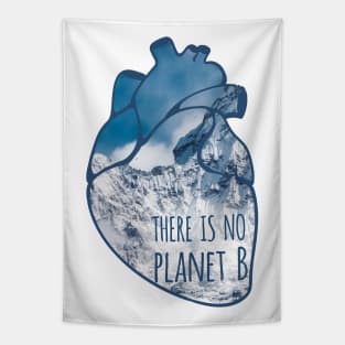 there is no planet B - snow Tapestry