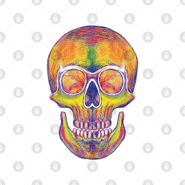 Colorful Skull by ginanperdana