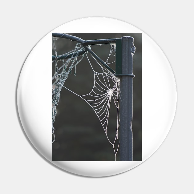 Frosty cobweb Pin by GrahamPrentice