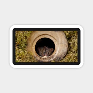 two wild mice in a log pile house Magnet