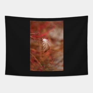 Captured Feather Tapestry