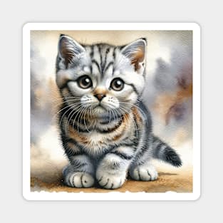 American Wirehair Watercolor Kitten - Cute Kitties Magnet