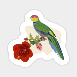 Parrot and Hibiscus Magnet