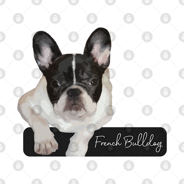 French Bulldog by NV