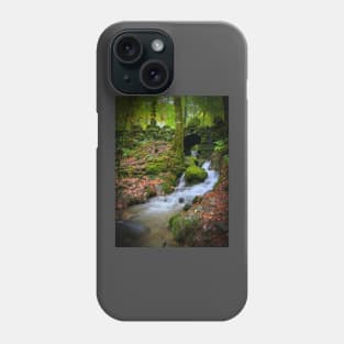 Lake District Waterfall Phone Case