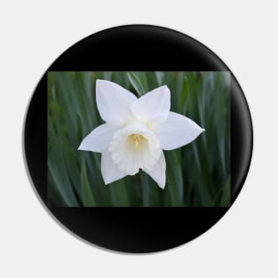 Purely White Pin