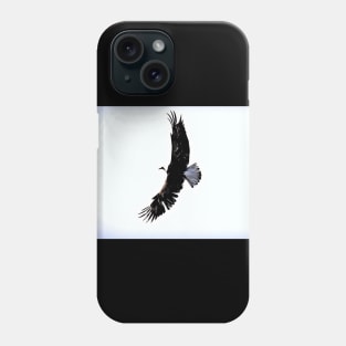 Bald Eagle wingspan Phone Case