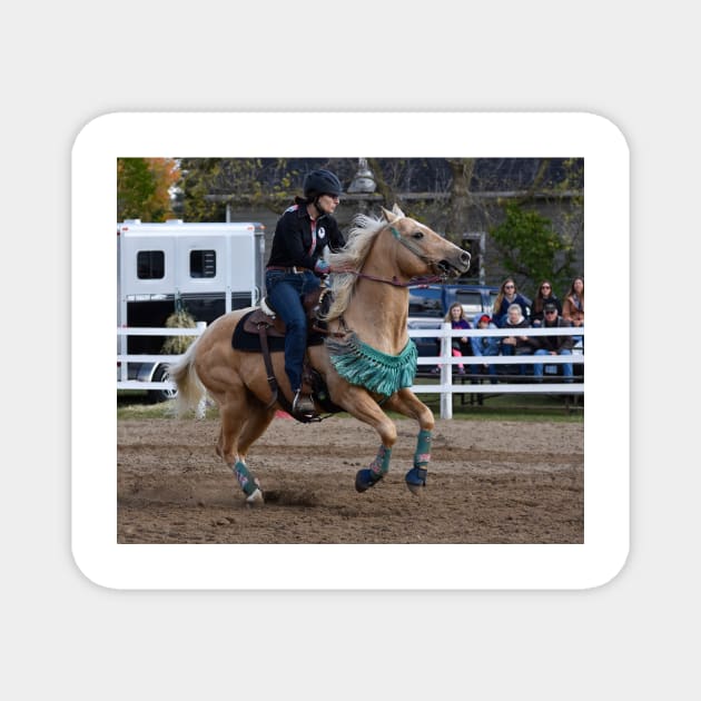 Barrel racing - Barrel Racing - Magnet | TeePublic