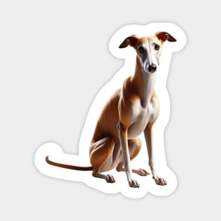 Greyhound Magnet