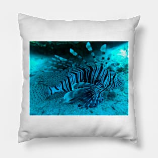 lionfish Pillow