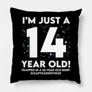 Leap Year Birthday 14Th Birthday Party 56 Years Old Birthday Pillow