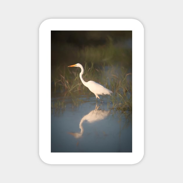 Great White Egret Magnet by Memories4you