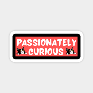 Passionately Curious Magnet