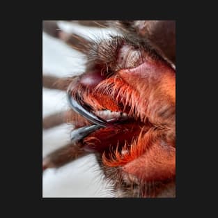 Tarantula Fangs T-Shirt