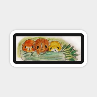 Guinea Pigs Three, cavy, pigs, piglets Magnet