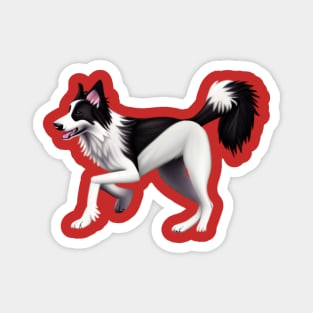 Border Collie Cartoon Magnet